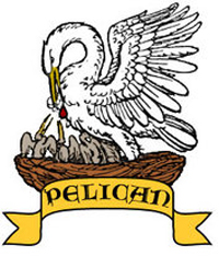 A Pelican